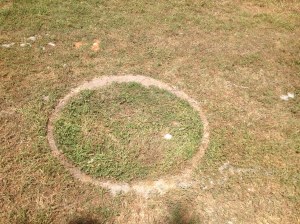 Construction - Old Well May 5 14