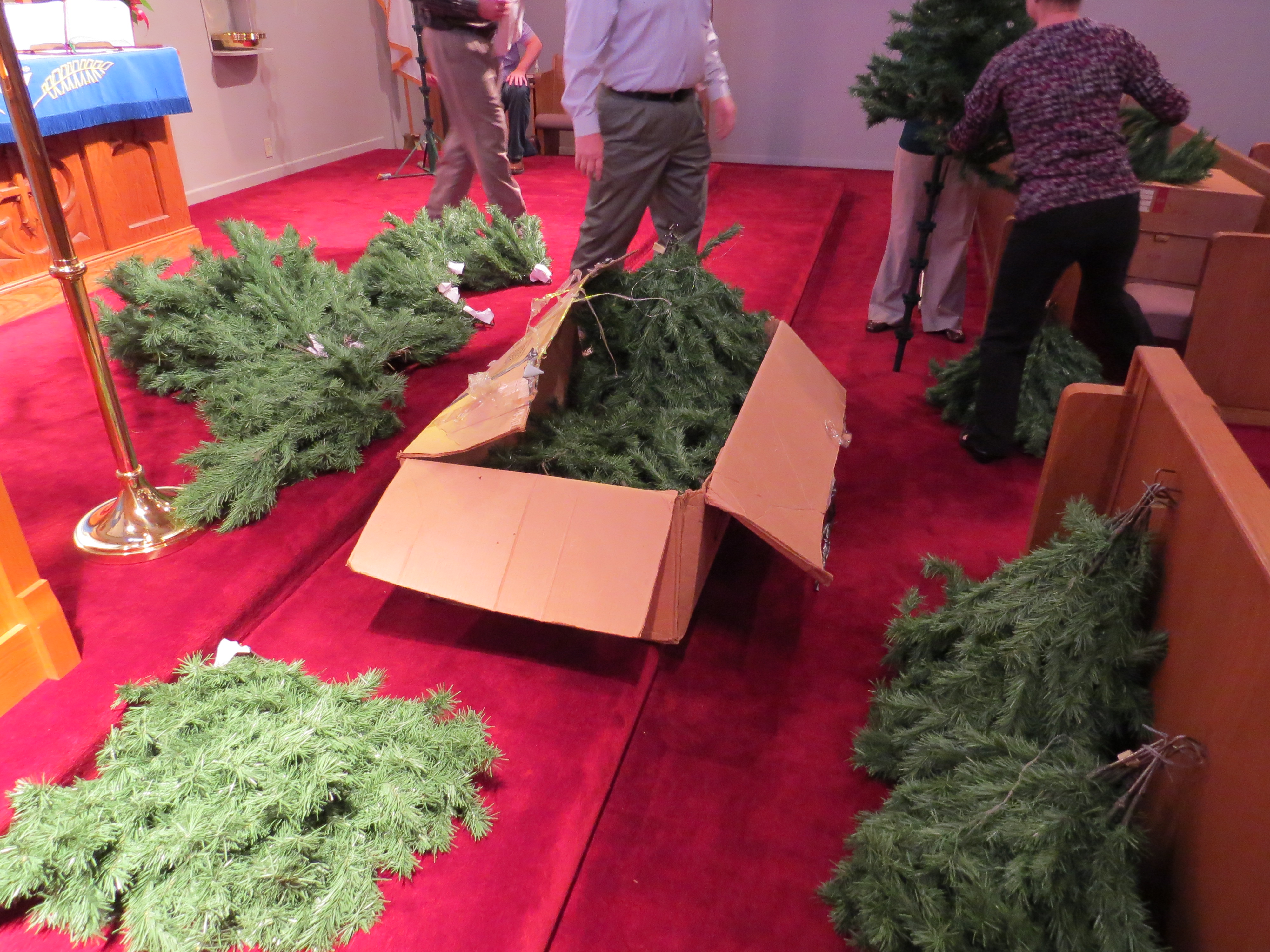 Christmas Tree 2014 set up branches